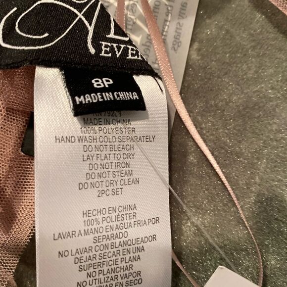 #701 ALEX EVENINGS PETITE nwt Mother of bride/groom gown - Picture 11 of 12